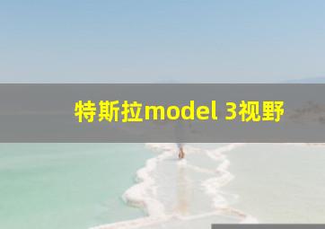 特斯拉model 3视野